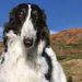 Profile Picture of Elaine Kilmer (@ekilmer0058) on Pinterest