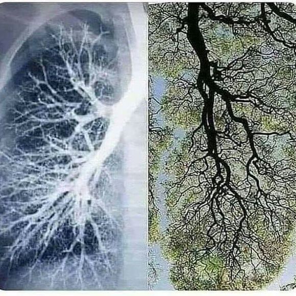 Profile Picture of Nohora Suarez (@nohorams) on Poshmark