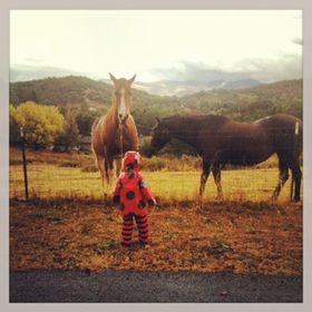 Profile Picture of Hannah Archibald (@hannahc1980) on Pinterest