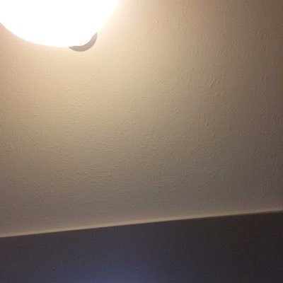 Profile Picture of Gavin Mcelroy (@monsterboy00000) on Twitter