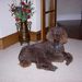 Profile Picture of Nancy Geller (@nagsag) on Pinterest