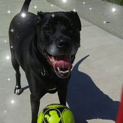 Profile Picture of Jessica Misch (@jessicamisch0) on Tiktok