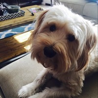 Profile Picture of Ian Hsieh (@ian-hsieh-3) on Quora