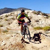 Profile Picture of Ian Paul (@paultuchmann) on Pinterest