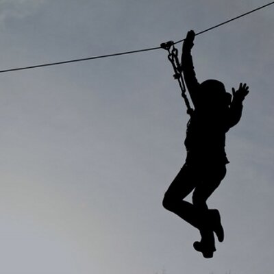 Profile Picture of Miranda Collins (@mirandajcollins) on Twitter