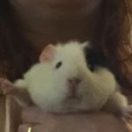 Profile Picture of Andrew Dowdell-Stent (@_count_fluffula_) on Instagram