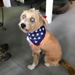 Profile Picture of Scotty Candler, III (@scandleriii) on Instagram