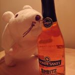 Profile Picture of Korpo Szczurek (@korpo.szczurek) on Instagram