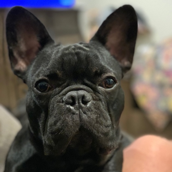 Profile Picture of Benjamin Hanson (@cameraman96) on Poshmark