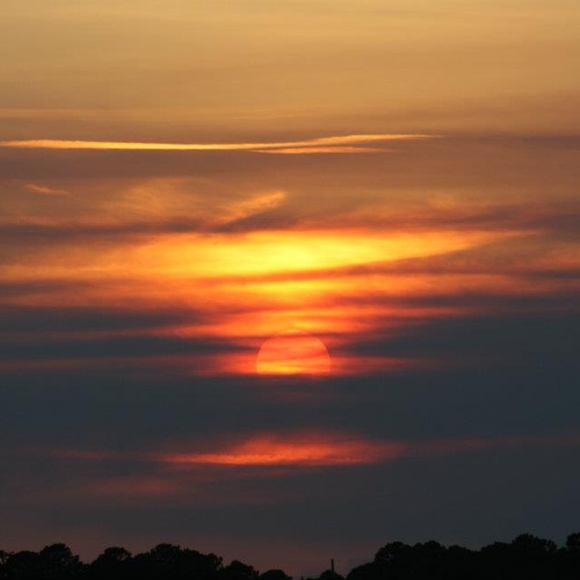 Profile Picture of Cindy Domin (@cindyw2007) on Poshmark