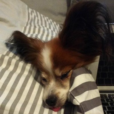 Profile Picture of Amelia Newton (@amelianewton88) on Twitter