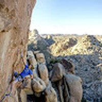 Profile Picture of Steve Gastelum (@steve-gastelum-2) on Quora