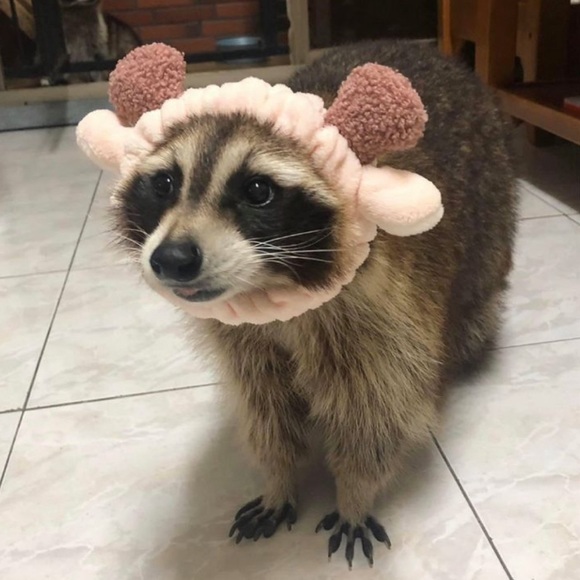 Natalie Sansom - Poshmark Profile Picture of Natalie Sansom (@nataliesansom) on Poshmark