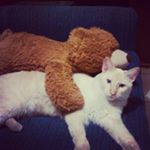 Profile Picture of Carlos Daniel Freyre (@carlosdanielfreyre) on Instagram