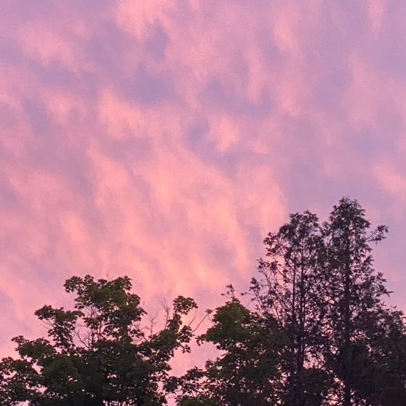 Profile Picture of Rory Mitchell (@_starburry_) on Poshmark