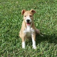 Profile Picture of James Bruno (@james-bruno-34) on Quora