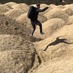 Profile Picture of Chuck Family (@pushkarev__alex) on Instagram