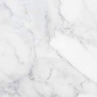 Profile Picture of Charlotte Mouvet (@charlotte-mouvet) on Quora