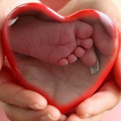 Daniel Herwig - Tiktok Profile Picture of Daniel Herwig (@@danielherwig) on Tiktok