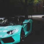 Profile Picture of Lachlan_wilmot (@lachlan.wilmot) on Instagram