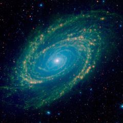 Profile Picture of Tim Weitzel472 (@tiwi04okok) on Tiktok