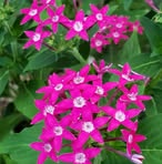 Profile Picture of Angeline Liu (@ypufcjo.ylkgi) on Facebook