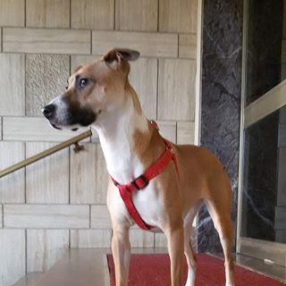 Profile Picture of Pietro Astorino (@Pietro-Astorino) on Facebook