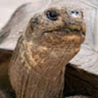 Toni Cortijo Capel - Quora Profile Picture of Toni Cortijo Capel (@toni-cortijo-capel) on Quora