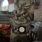 Profile Picture of Fletcher Cantrell (@Fletcher-Cantrell) on Facebook