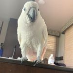 Profile Picture of Jeremiah Rearick (@jeremiahrearick) on Instagram