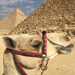 Profile Picture of Julie Fischer (@fischer.julie) on Instagram