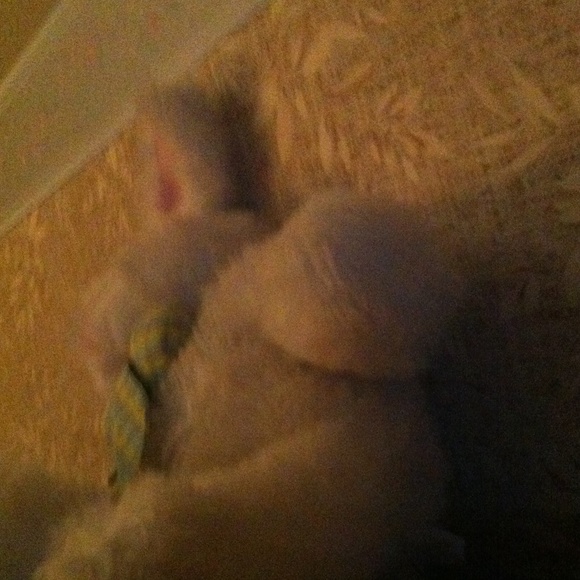 Keryl Rankins - Poshmark Profile Picture of Keryl Rankins (@kvr1023) on Poshmark