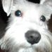 Profile Picture of Larry Wehunt (@larry.wehunt) on Facebook