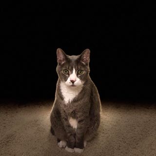 Profile Picture of Jason Hyman (@JasonPatrickHyman) on Facebook