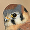 Profile Picture of Erik Funk (@Erik Funk) on Flickr