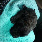 Profile Picture of Antonio Viveiros (@vertentes91) on Instagram