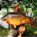 Profile Picture of Peter Sells (@peter.sells.77) on Facebook