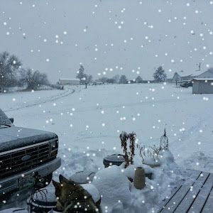 Profile Picture of vickyalley (@vickyalley) on Tiktok