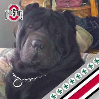 Profile Picture of Brian Tritchler (@Brian-Tritchler) on Facebook