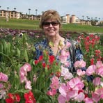 Profile Picture of Debbie Bickert (@debbie.bickert) on Facebook