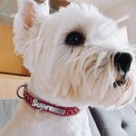 Profile Picture of Jakub Mieczysław Tepper (@tapchan) on Instagram