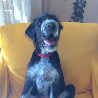 Benedetto Gallonio - Facebook Profile Picture of Benedetto Gallonio (@benny.gallony) on Facebook