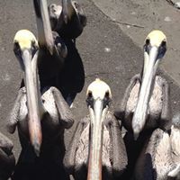 Profile Picture of Brian Helfeldt (@brian-helfeldt) on Quora