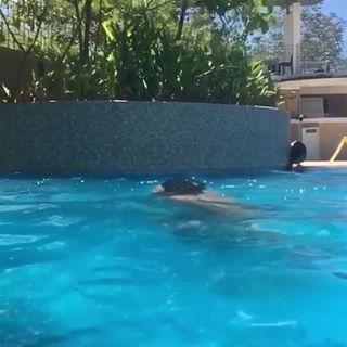 Profile Picture of Mark Rosel (@markrosel0728) on Tiktok