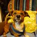 Profile Picture of George Adamson (@george.adamson.39566) on Facebook