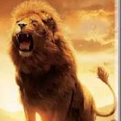 Profile Picture of Nikunjkumar Patel (@Nikunjkumarpatel007) on Youtube