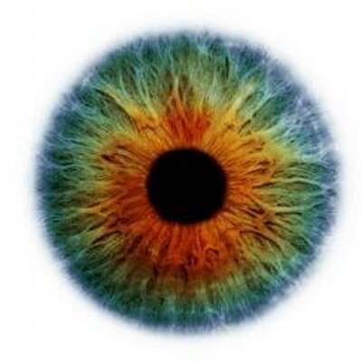Profile Picture of Zach Crosby (@ZCrosbySP) on Twitter