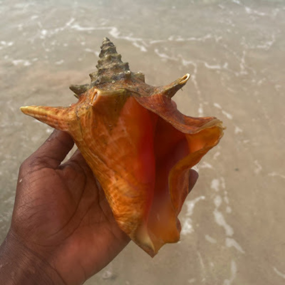 Profile Picture of Benita Marshall (@benigrace) on Poshmark