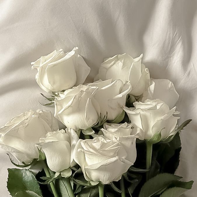 Profile Picture of LouiseOdier (@l.odier) on Tiktok