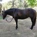 Profile Picture of Robin Greer (@robindgreer) on Pinterest